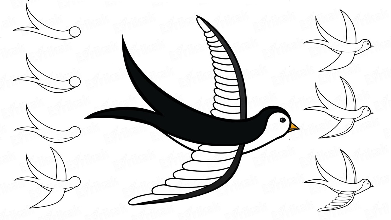 ==--front-img_kak-narisovat-lastochku.jpg