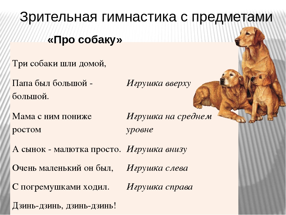 0166288img6.jpg