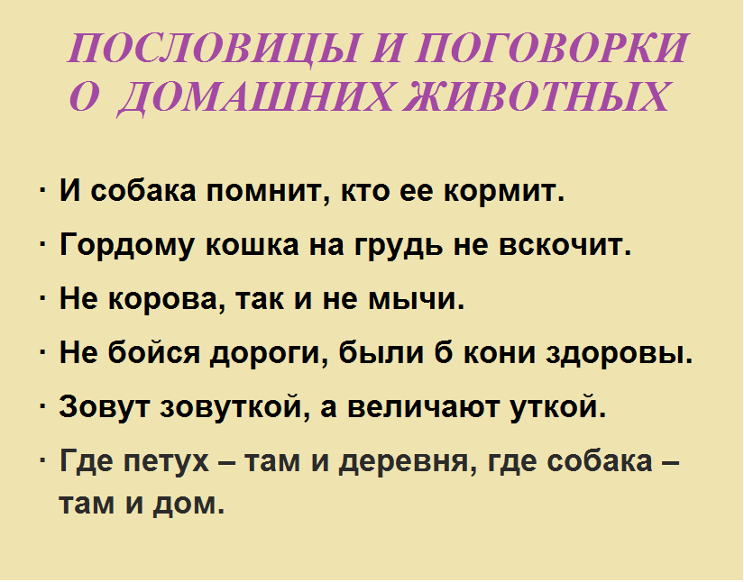 0326767.png