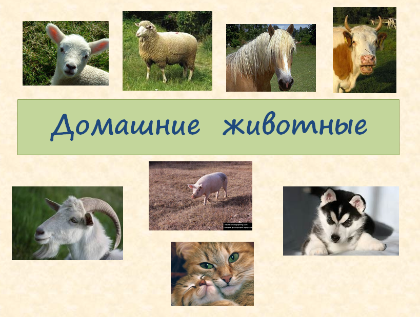 03421567878.png