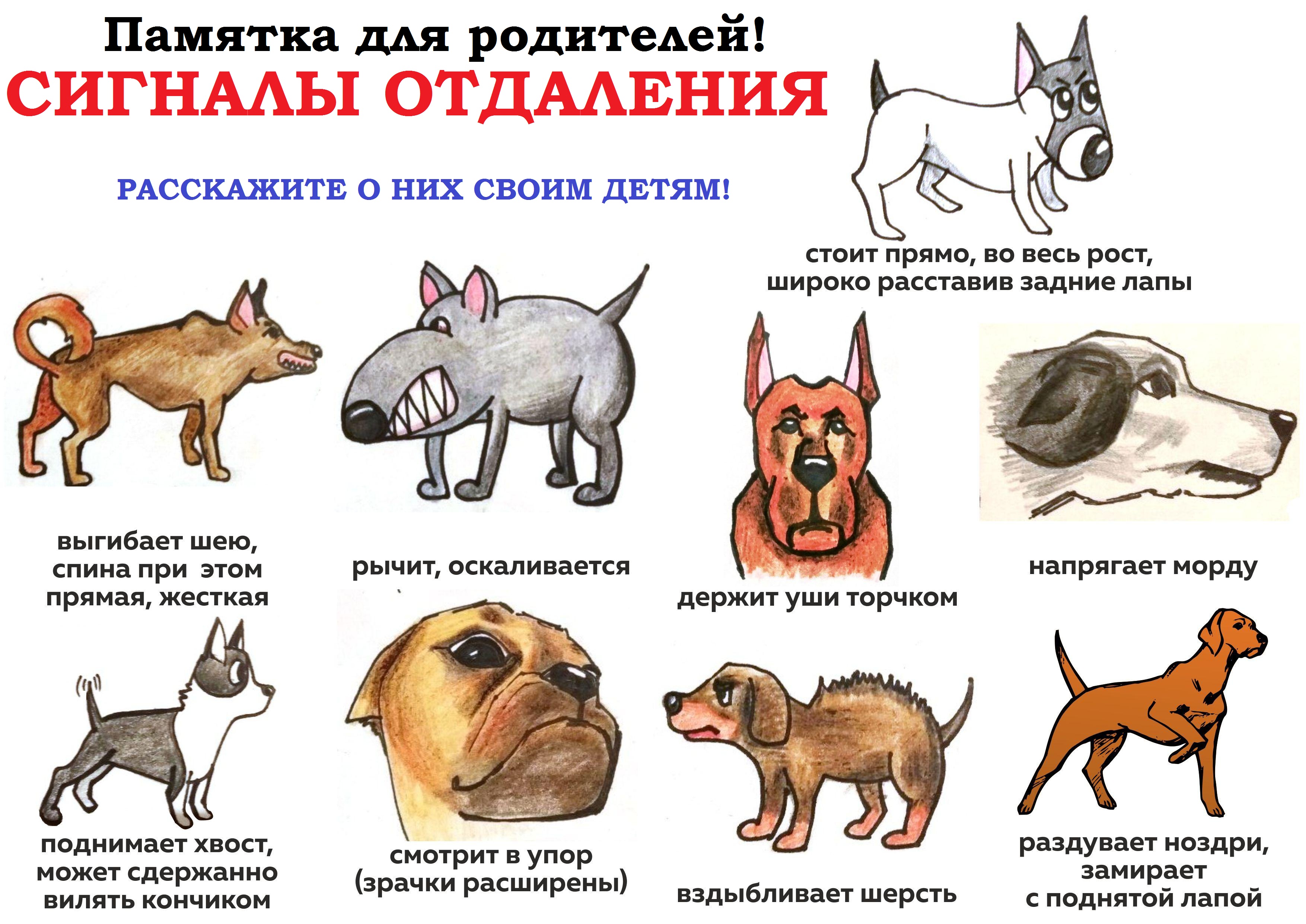 0_4(21).jpg