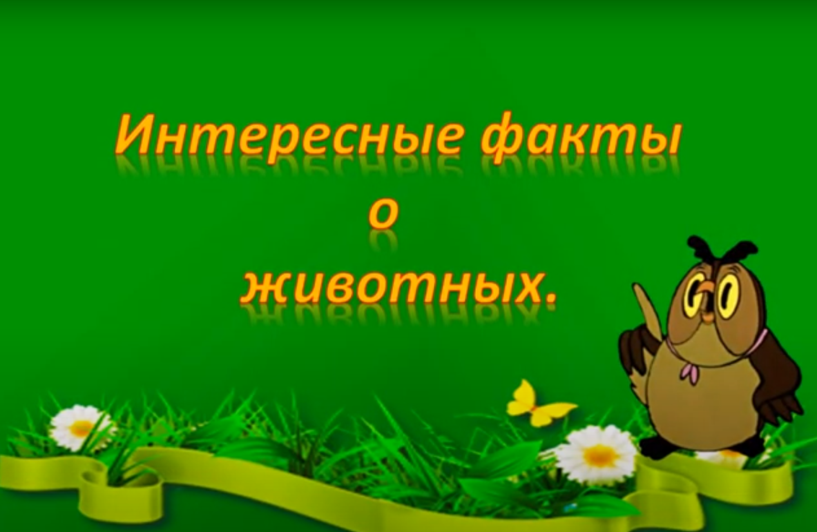623494.png
