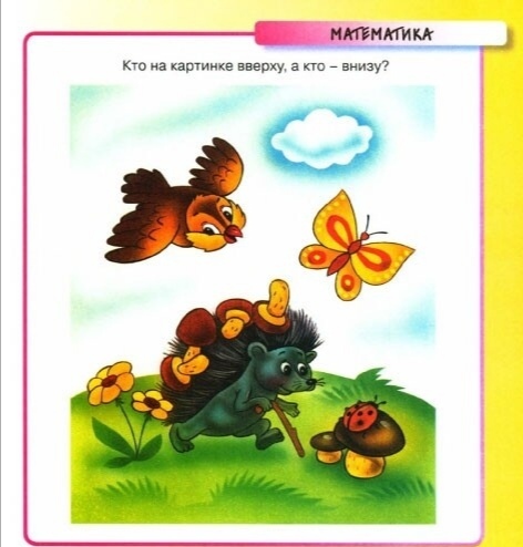IMG-1743bd1eb7ddae02a8982f6f436cebb5-V.jpg