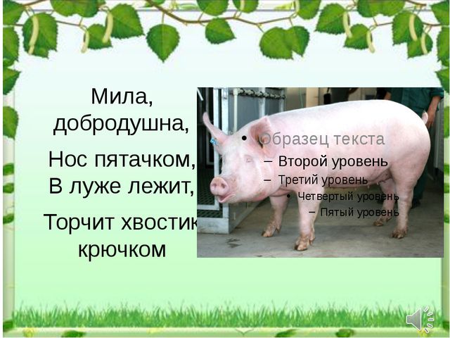 IMG-1ea108386c3fbf1d01dbd866c97cbc4b-V.jpg