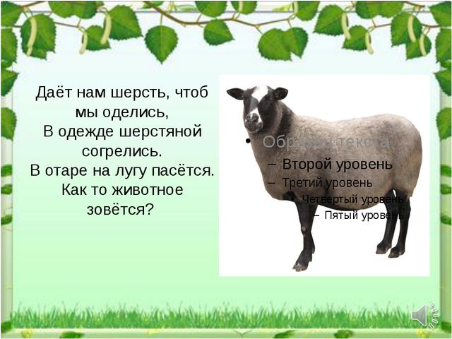 IMG-4eb1a4e58cd41e49743a31cb9c04b44a-V.jpg