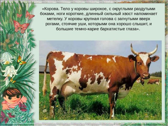 IMG-7d796ec767daf414a97fd0ee32b5e0ab-V.jpg