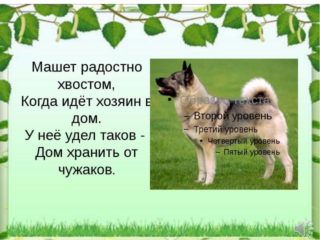 IMG-d6a7230f3d63d76c1a2ae001d96995d6-V.jpg
