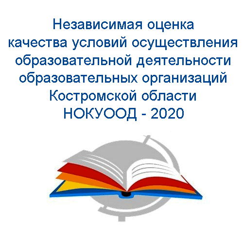 Ноко 2020.png