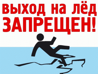 94b50a8417f3d6017ce77e6efee369c3.gif