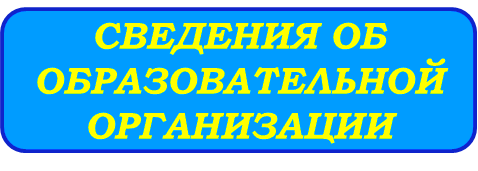 СВЕДЕНИЯ ОБ ОБРАЗОВАТЕЛЬНОЙ ОРГАНИЗАЦИИ(5).png