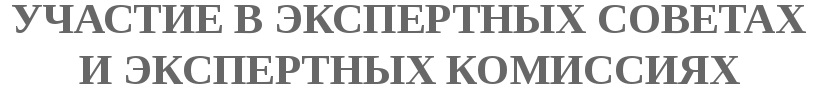 img4.jpg