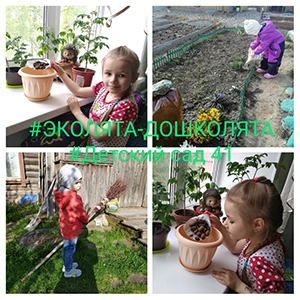 20200523_124559-COLLAGE_2-1.jpg