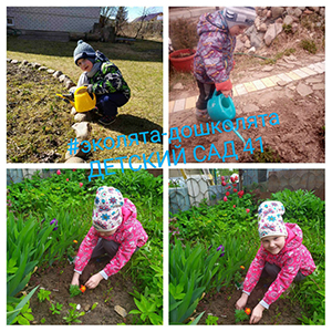 IMG-1af6673bdee29d46a109b9d6d2292bdc-V-1.jpg