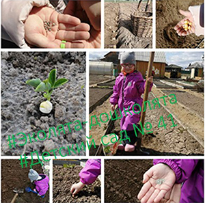 IMG-5c3459b4bf5f29f8338c9408a072081d-V-1.jpg