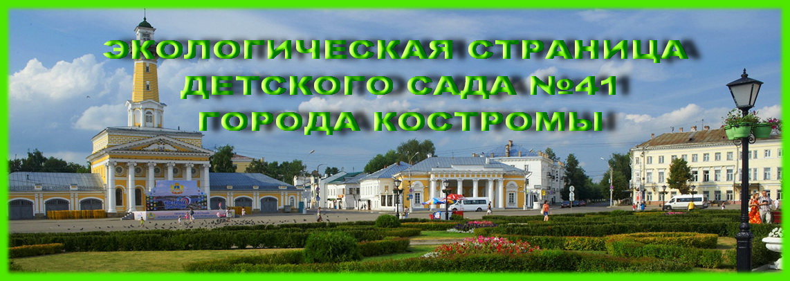 ЭКОЛОГИЧЕСКАЯ.jpg