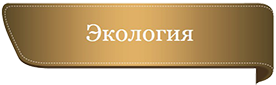 Слайд1-1 Эк.png