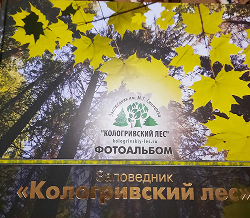 IMG-a5138e6c59b40dd42d1ea0e9ae820145-V.jpg