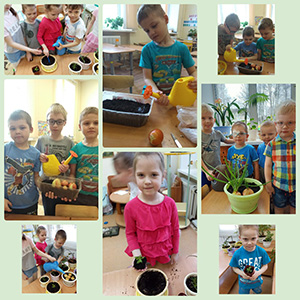 MyCollagesмслук.jpg