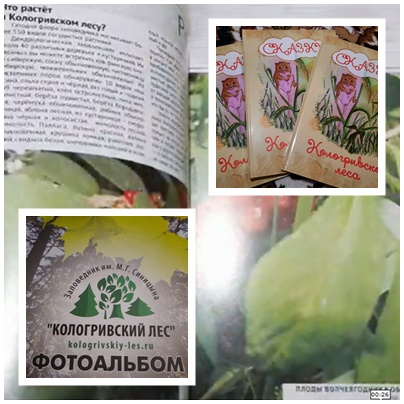 pageчрвкл.jpg