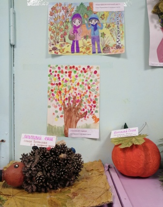 IMG_20201103_132347.jpg