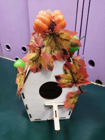 IMG_20201106_140024.jpg