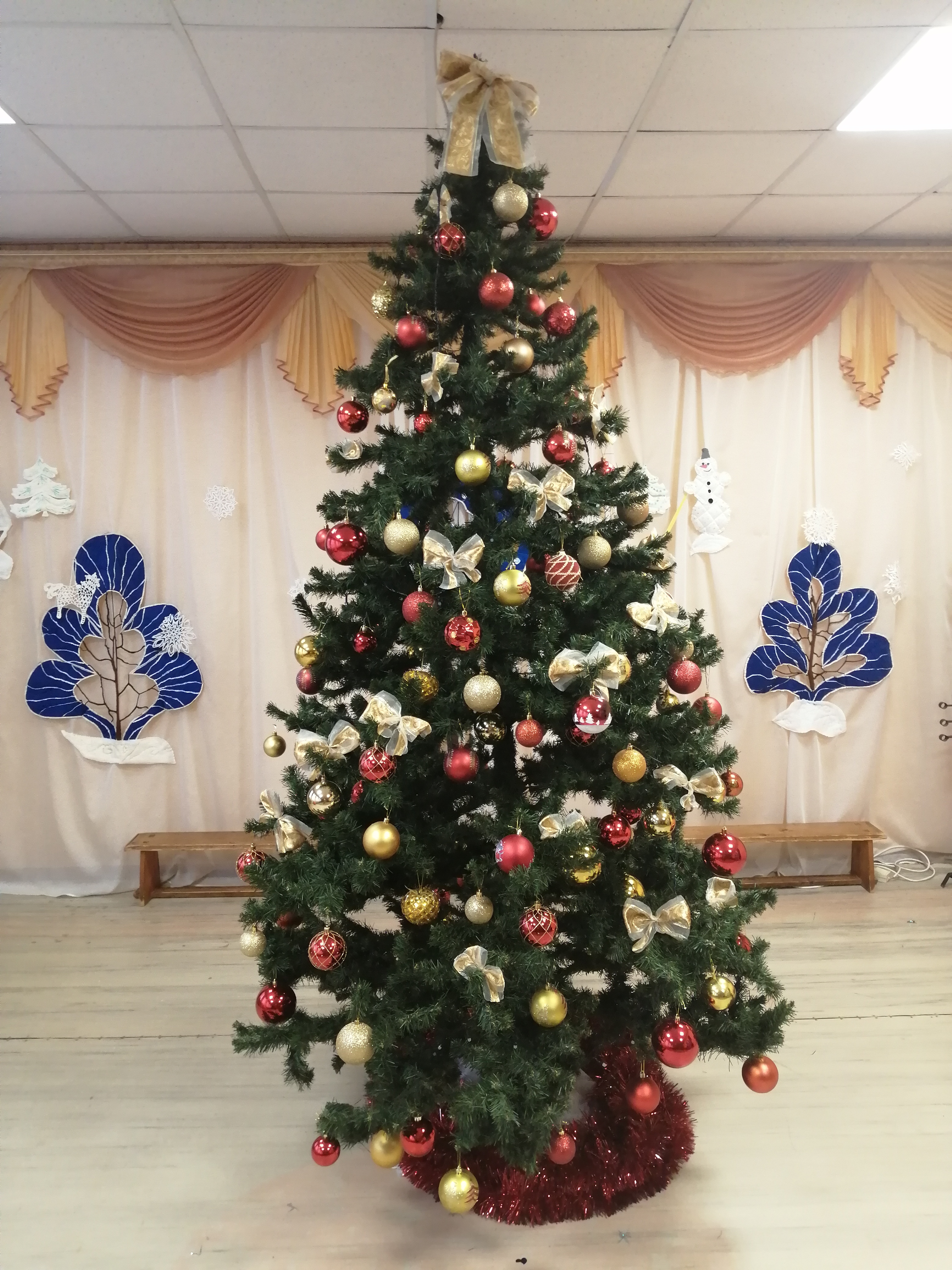 IMG_20201226_124136.jpg