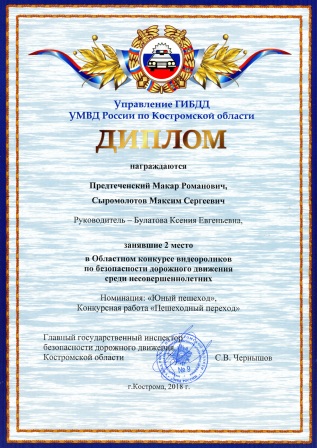 Диплом пдд ролик.jpg