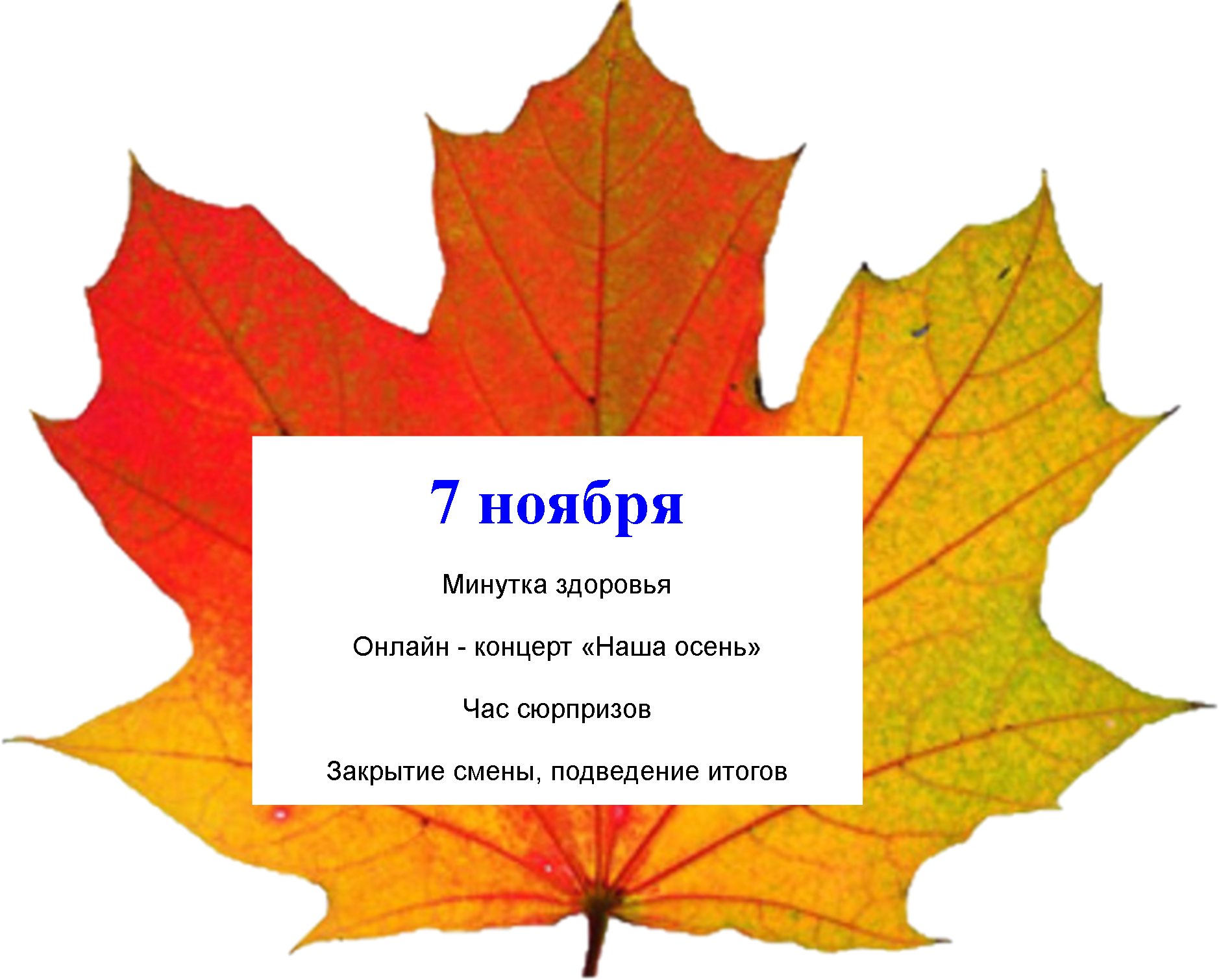 5 день лагеря осень.png