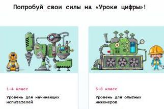 урок цифры проектная.jpg