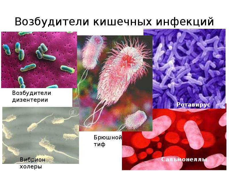 оки.jpg