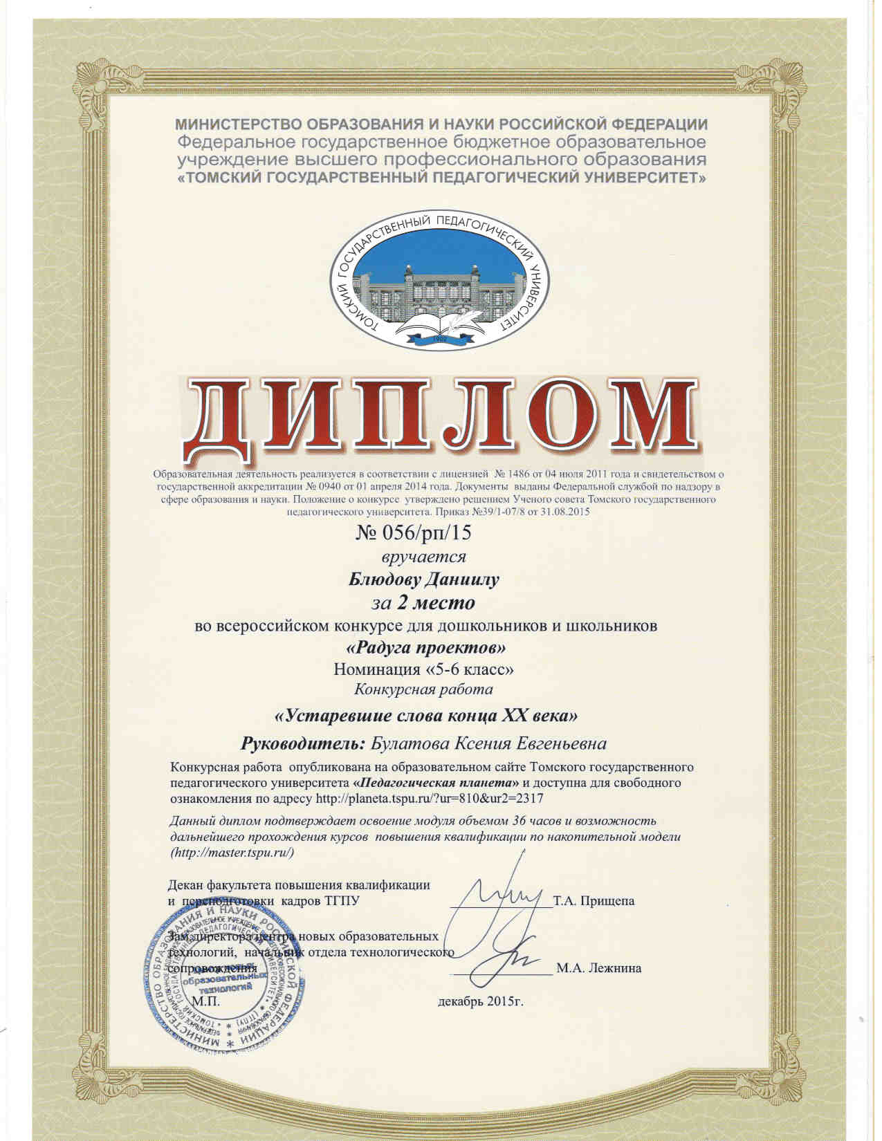 Диплом проектов.jpg