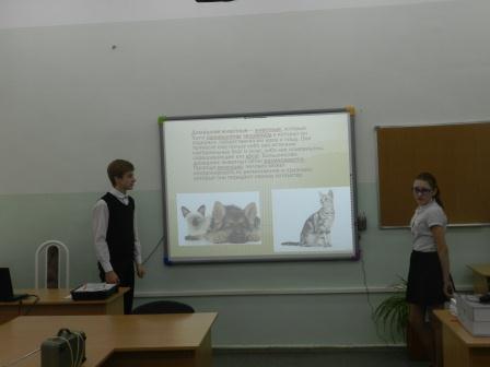 проект8.jpg