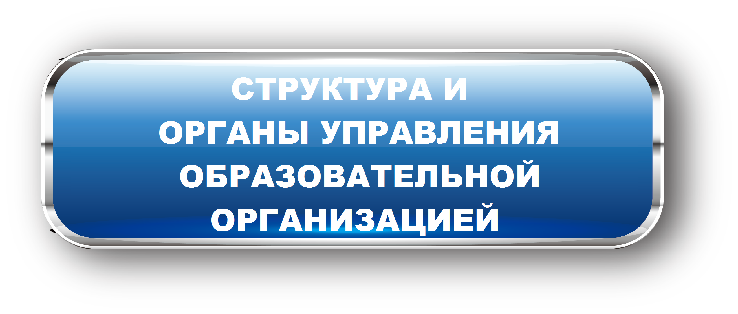 3 (1)1.png