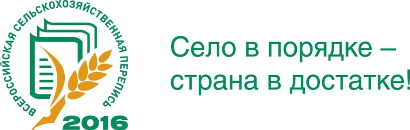 село.jpg