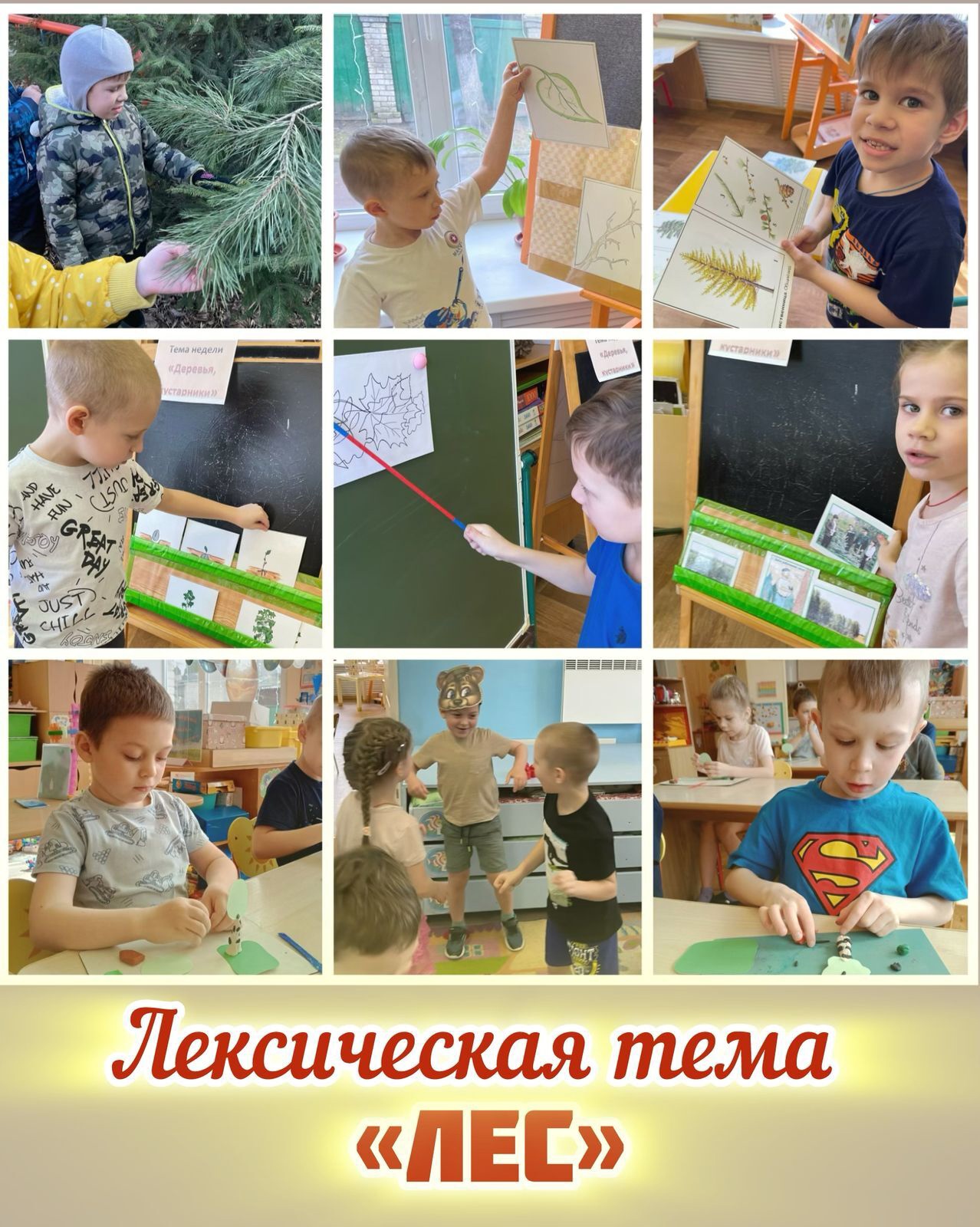 Лес 10 гр 2025.jpg