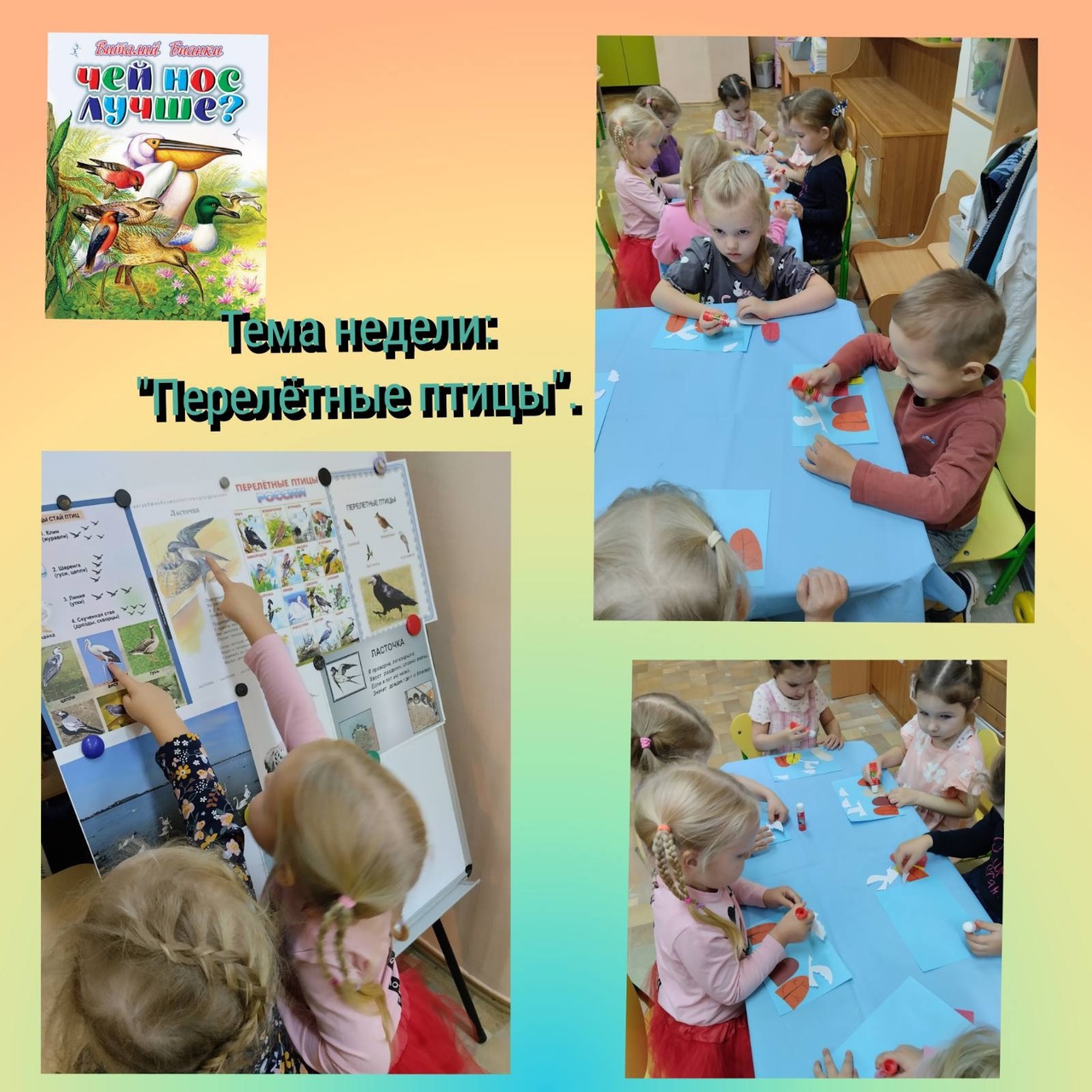 перелетные птицы 5гр 24.jpg