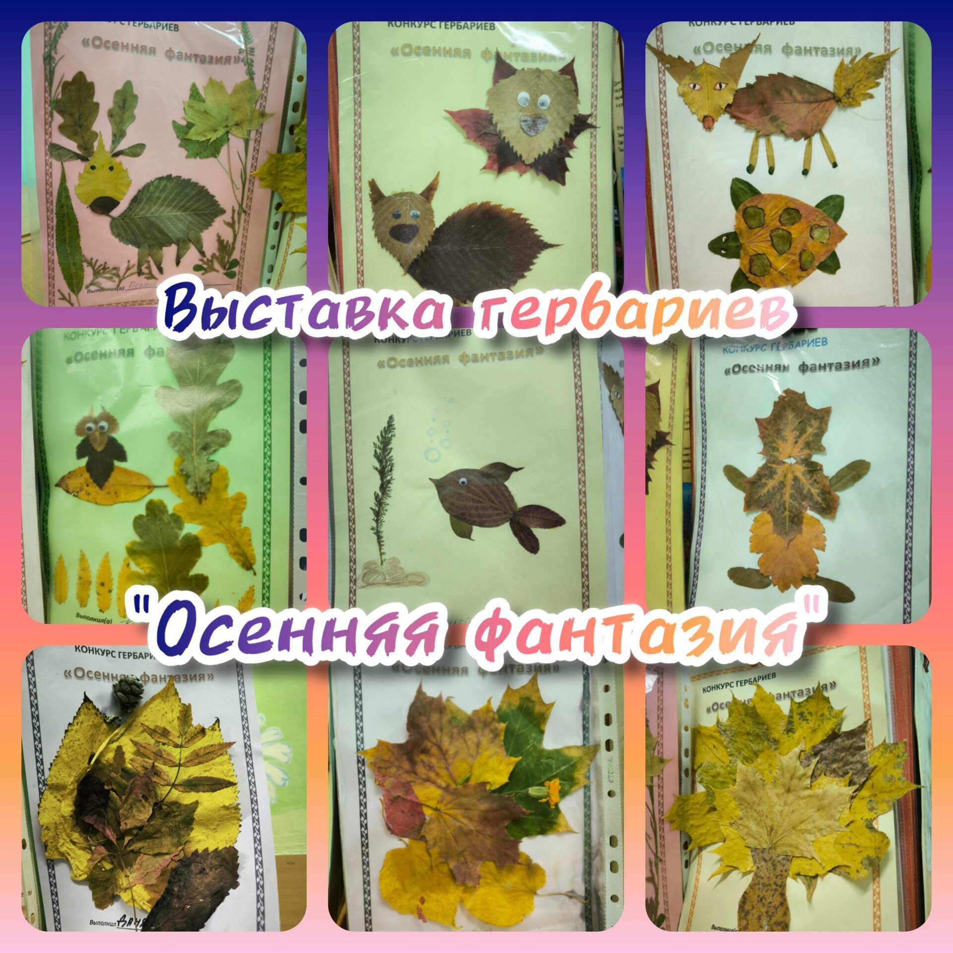 гербарии 9гр 24.jpg