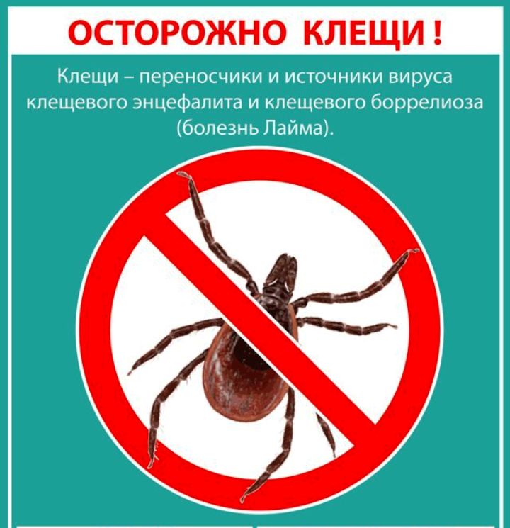Осторожно, клещи!.jpg