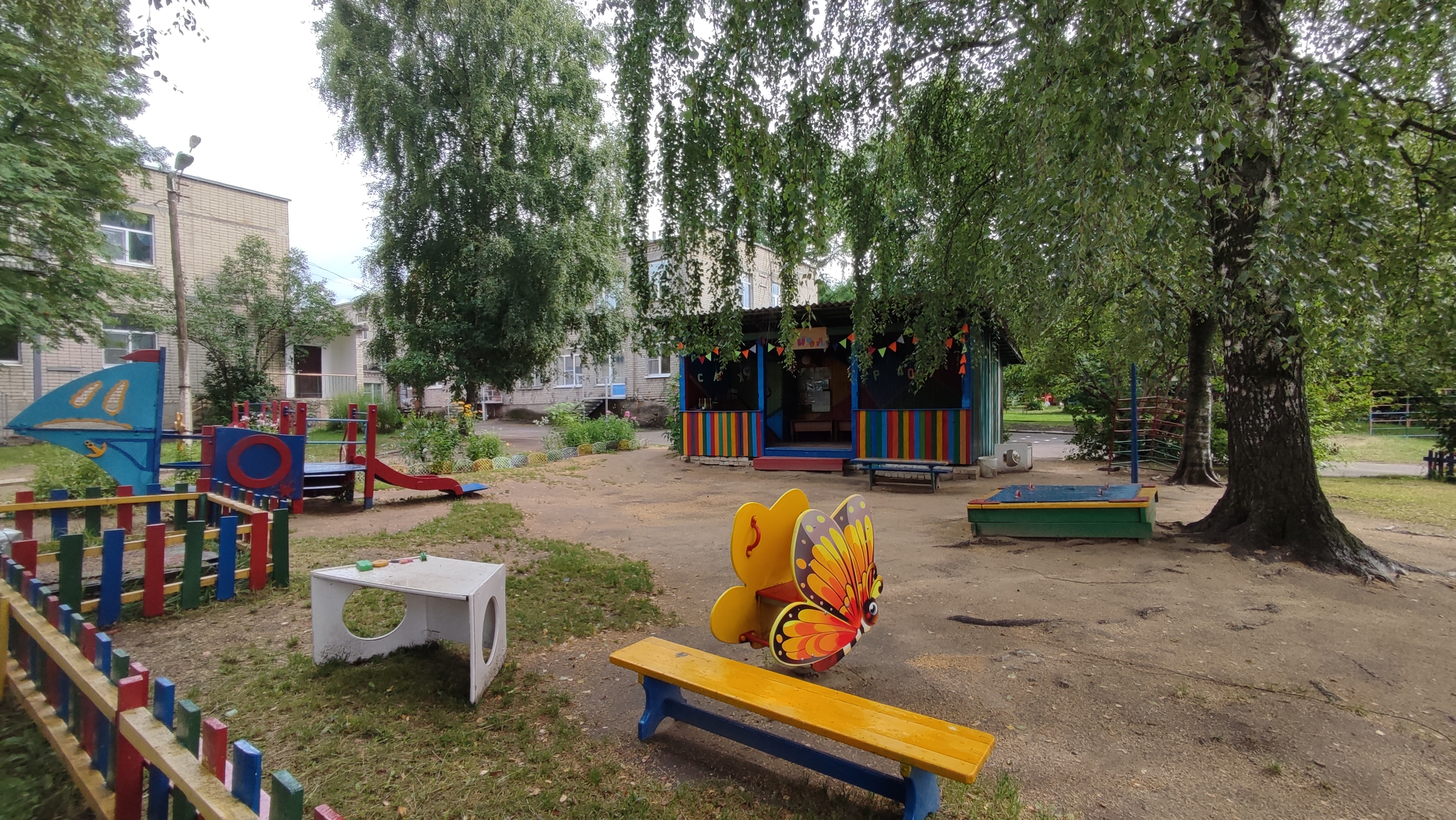 11 группа участок.jpg
