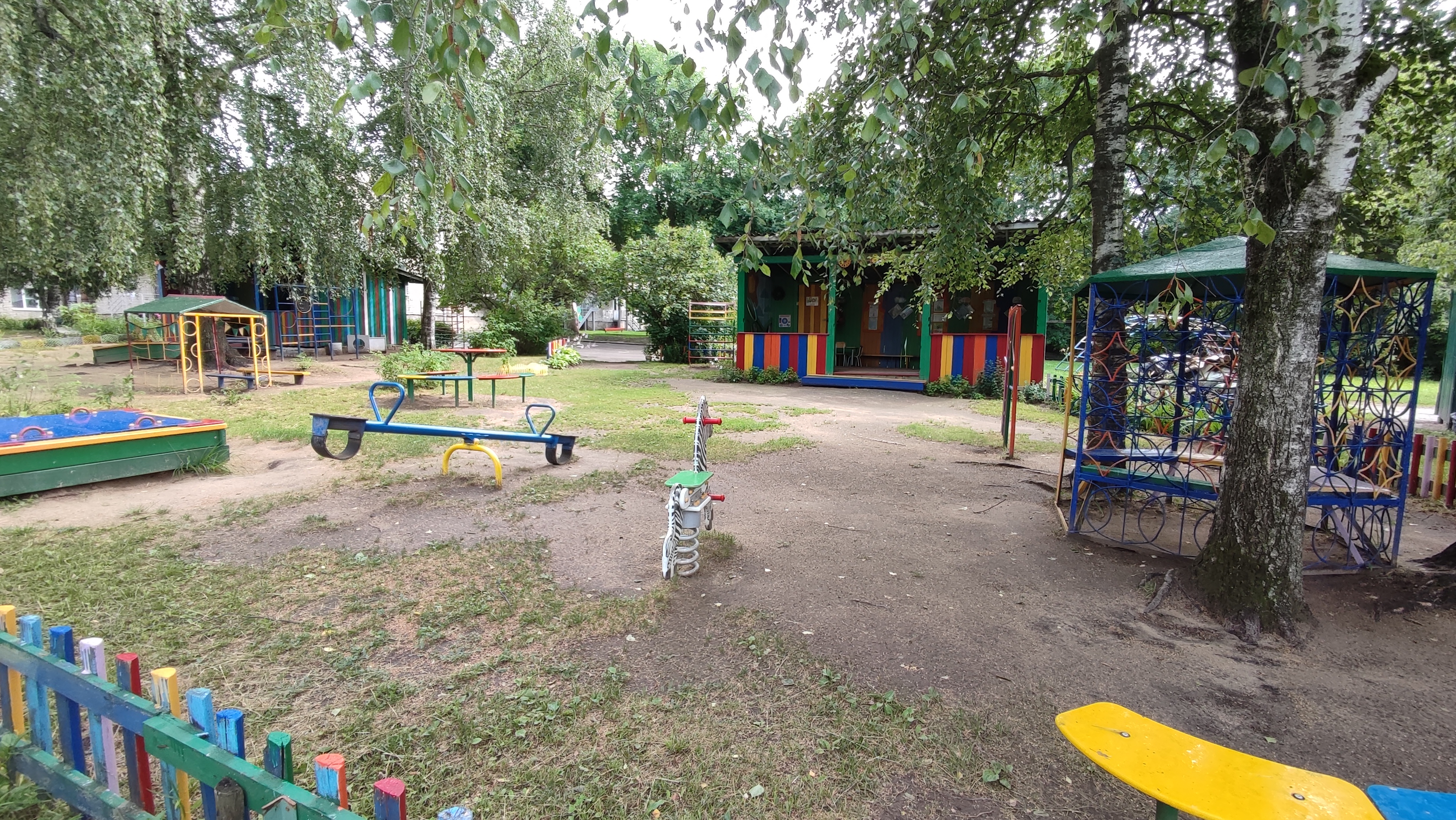 9 группа участок.jpg