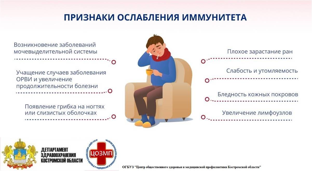 длорак.jpg