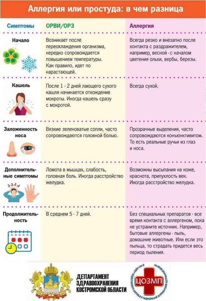 ораеку.jpg