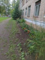IMG-20190913-WA0001.jpg