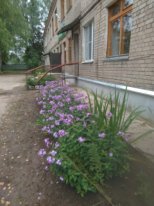IMG-20190913-WA0004.jpg