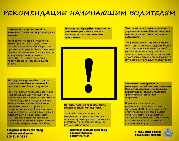 molodoy_voditel(2)-800x600.jpg