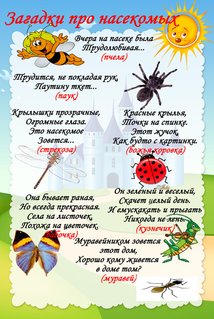 post-288806-1285418180.jpg