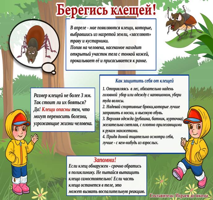 клещ2.jpg