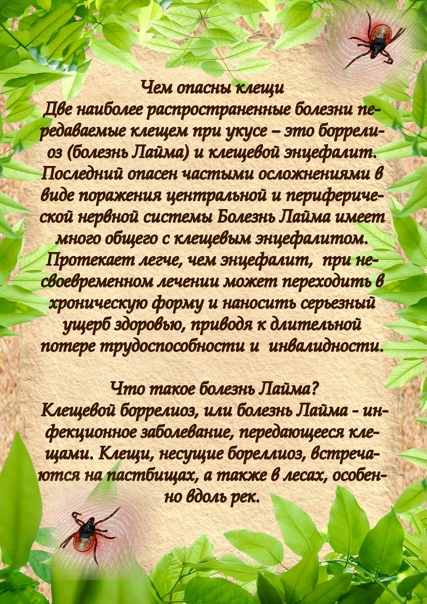клещ3.jpg