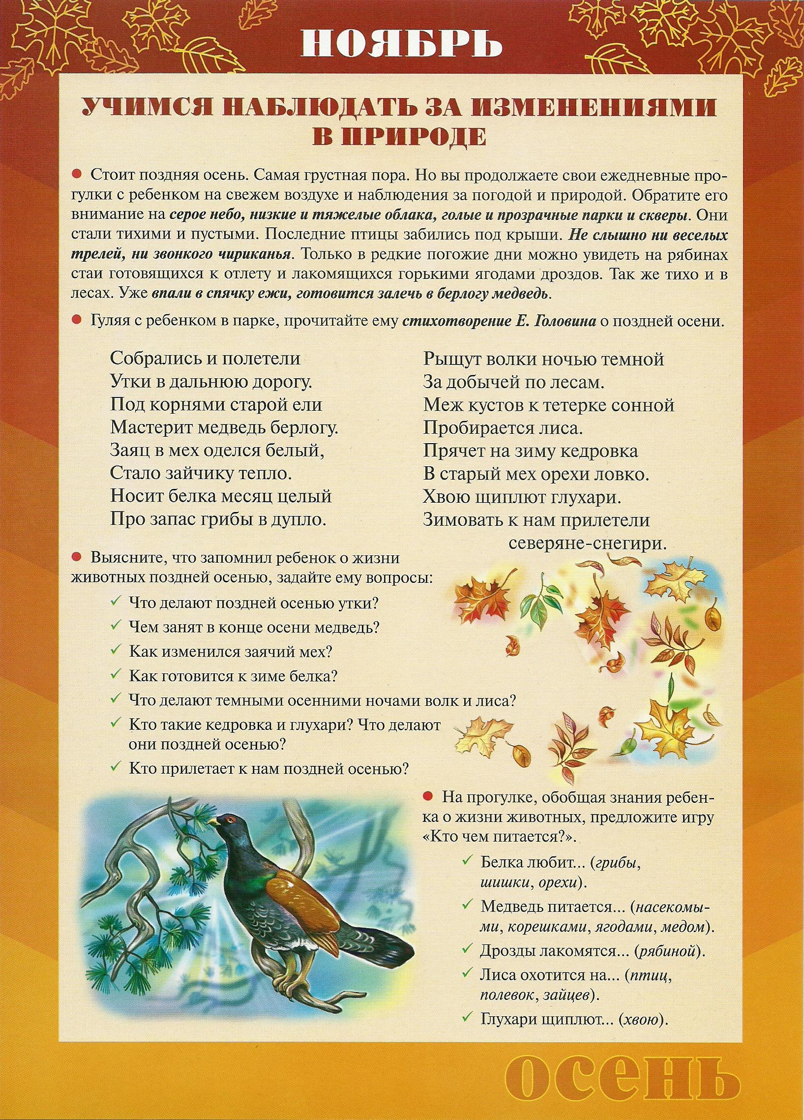 Ноябрь.jpg