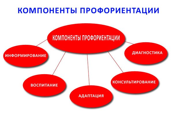 Proforient_08.jpg